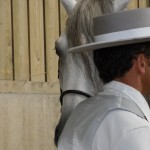Bezoek onze ruitershop, alles voor het Spaanse paard